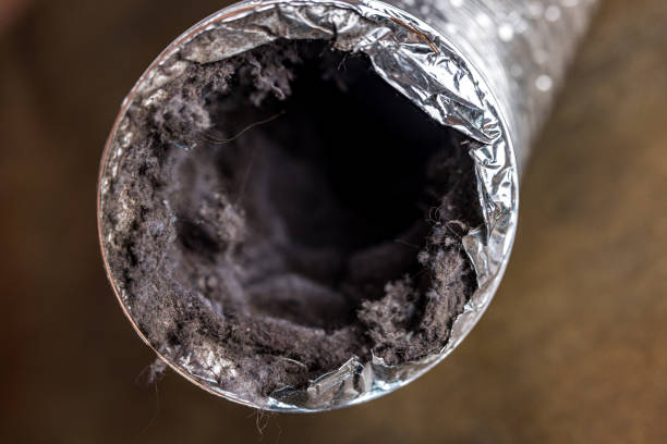 Best Affordable Duct Cleaning Services  in Derby, CO